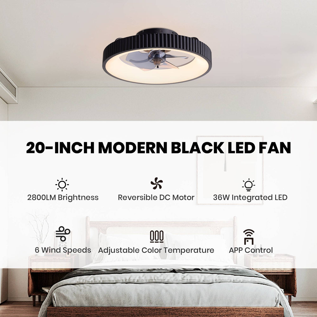 20-inch modern black LED ceiling fan key features — 2800LM brightness, reversible DC motor, 36W integrated LED, 6 wind speeds, adjustable color temperature, APP control, bedroom living room use