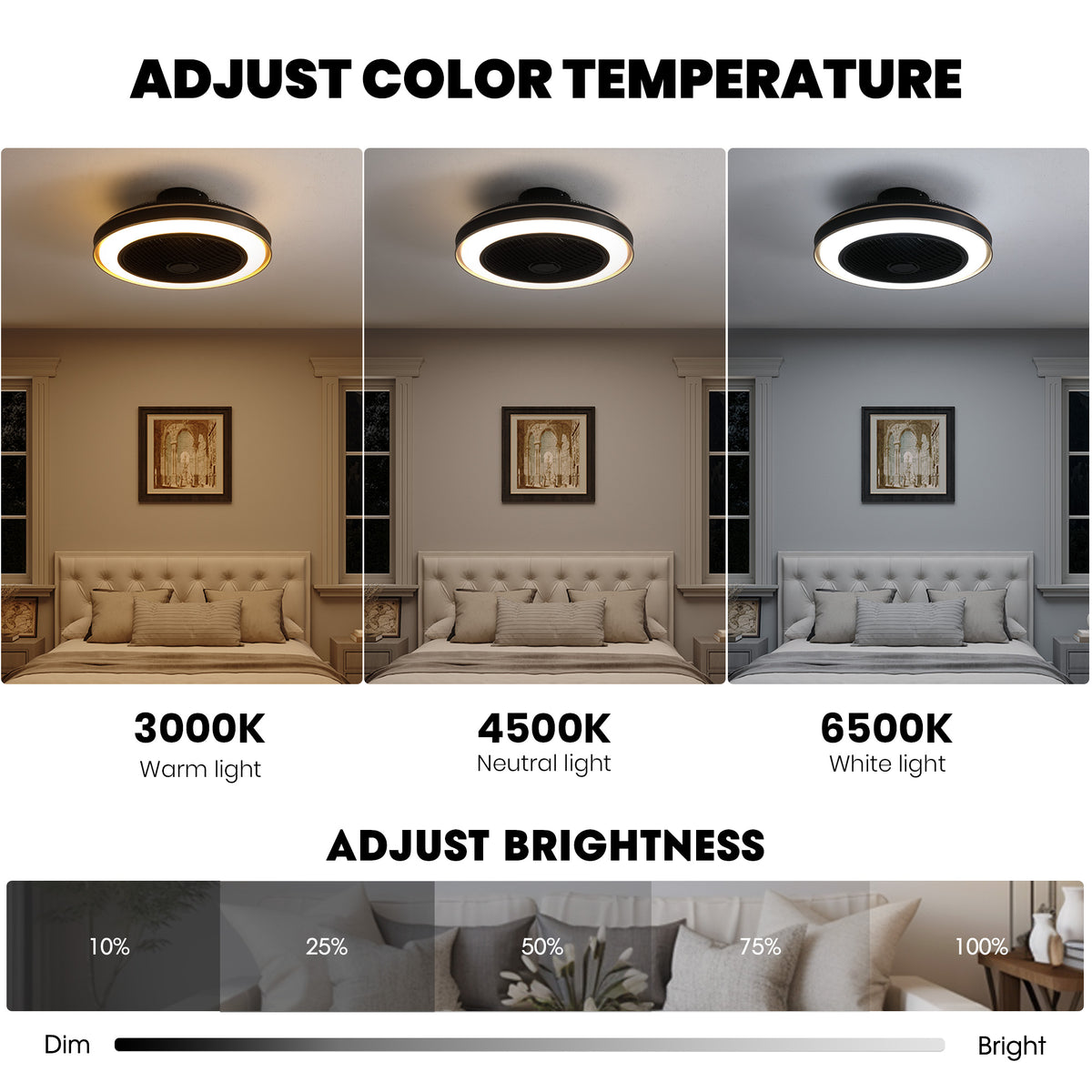 Dimensions & Specs