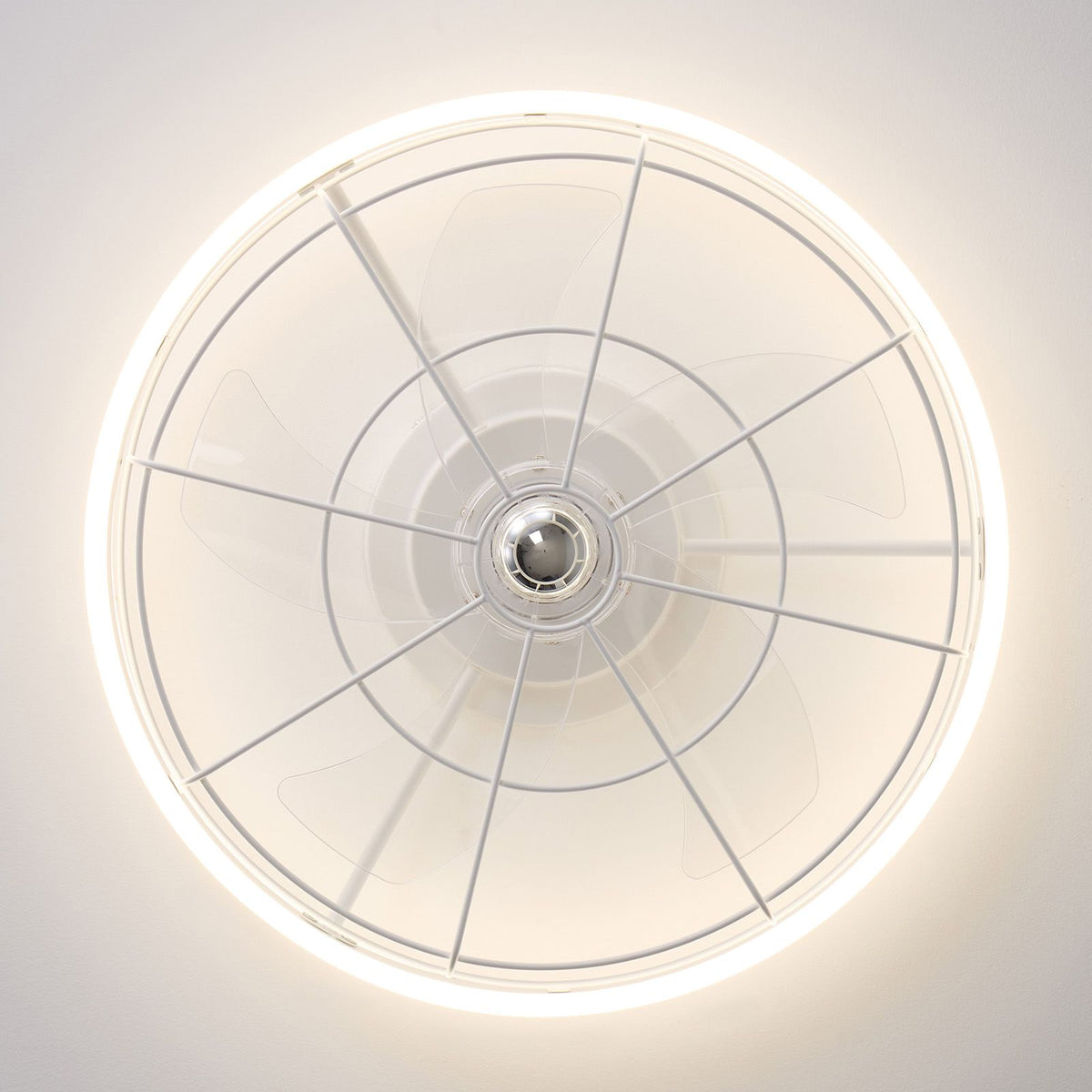 Top view of 19.6" white ceiling fan — circular LED ring, 6 invisible blades, modern low profile fandelier structure | Sofary Lighting